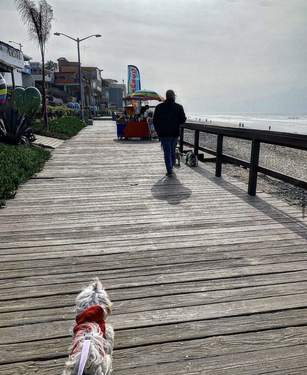 6 cosas que hacer en el malecón de Playas de Tijuana • Yo Amo Tijuana