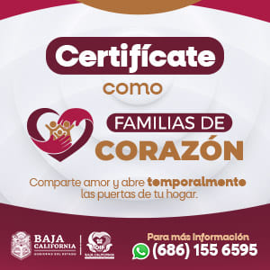 Publicidad FDC
